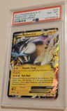 Raikou Ex