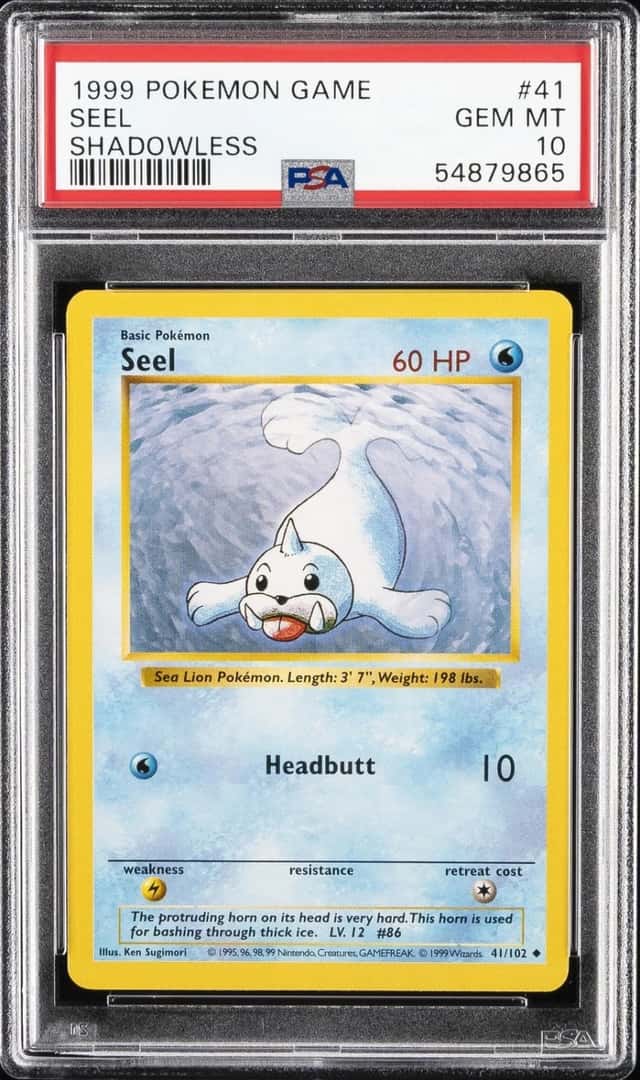 Seel