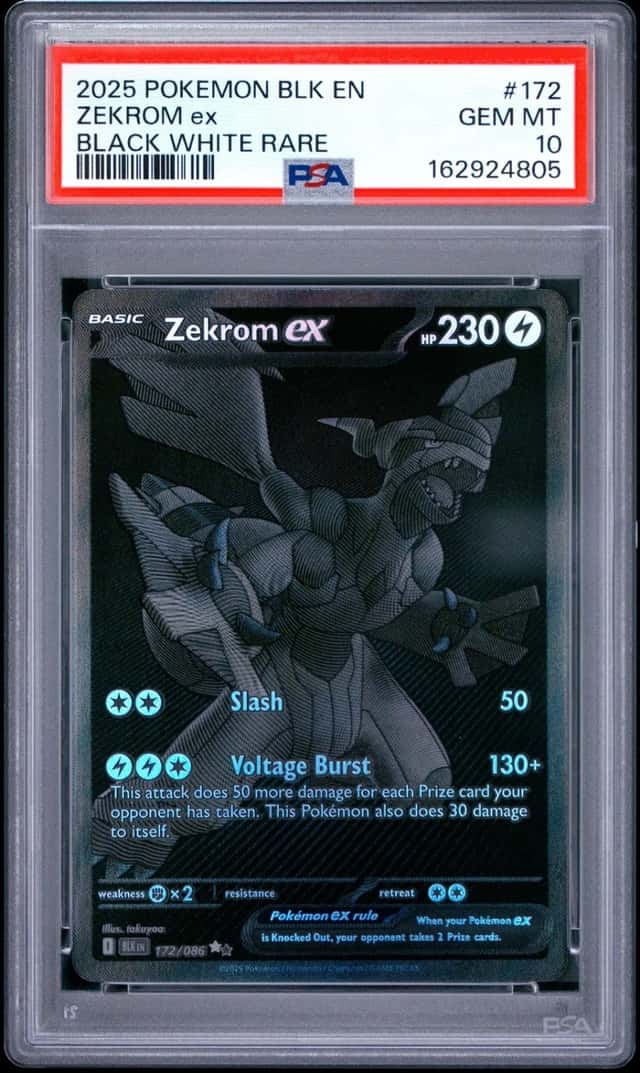 ZEKROM ex