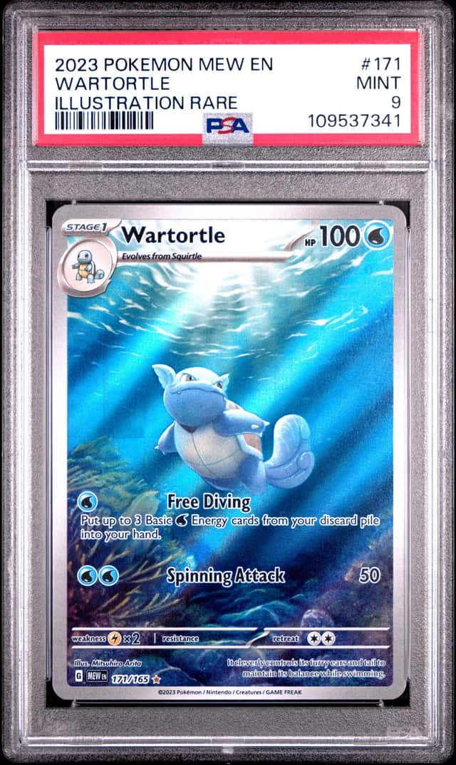 Wartortle
