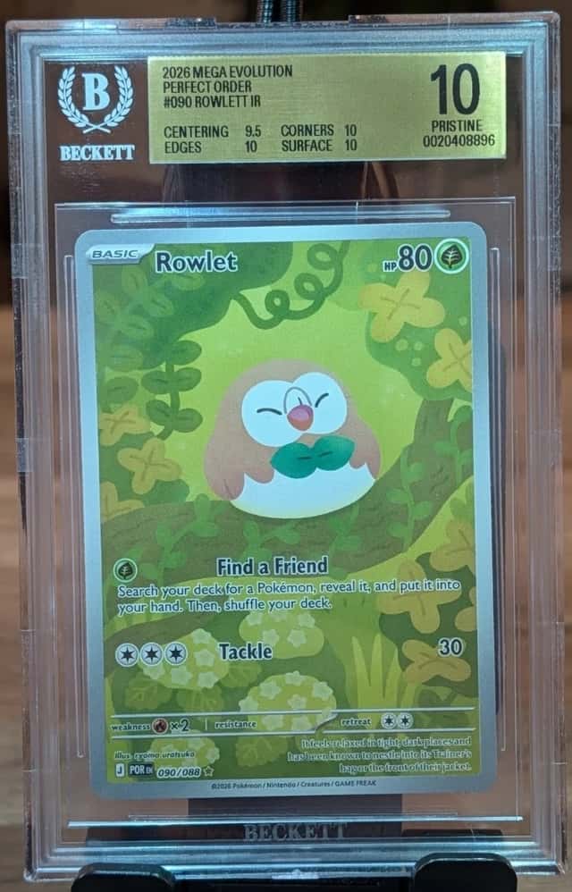 Rowlet