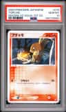 Torchic
