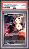 Team Rocket'S Mimikyu