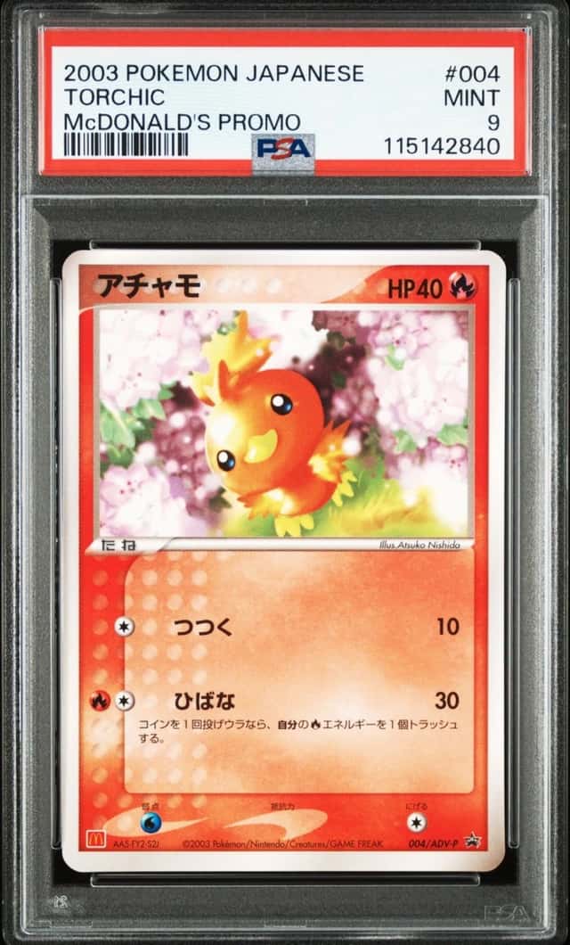 Torchic