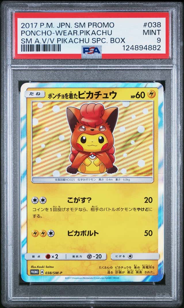 Poncho-Wearing Pikachu
