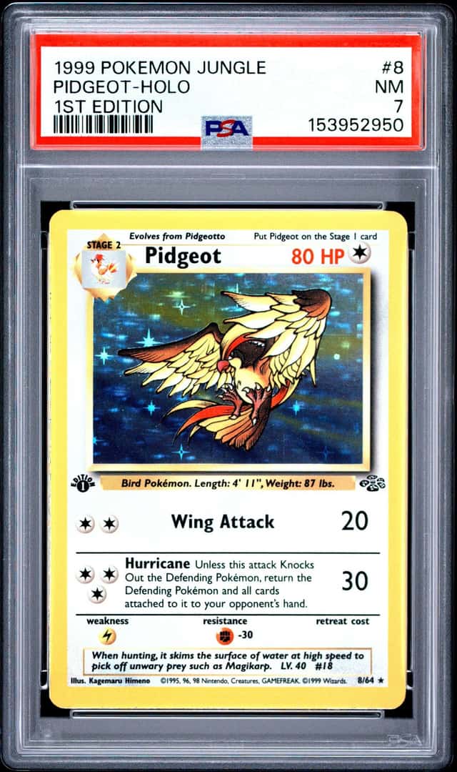 Pidgeot