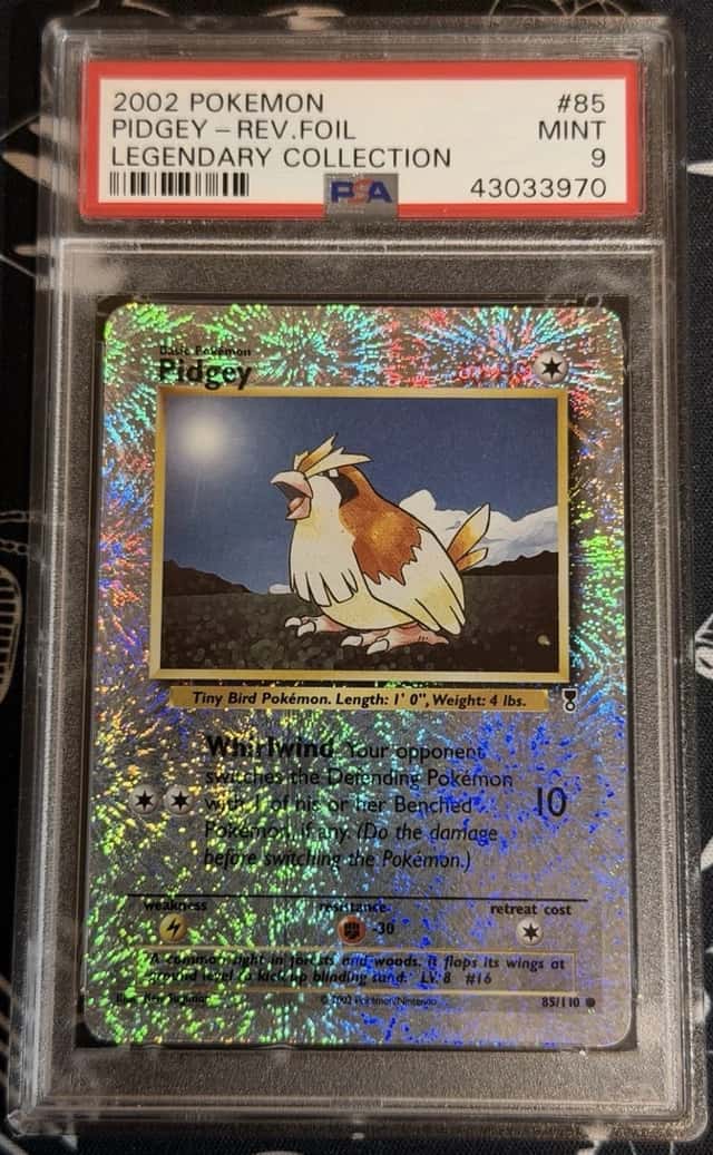 Pidgey