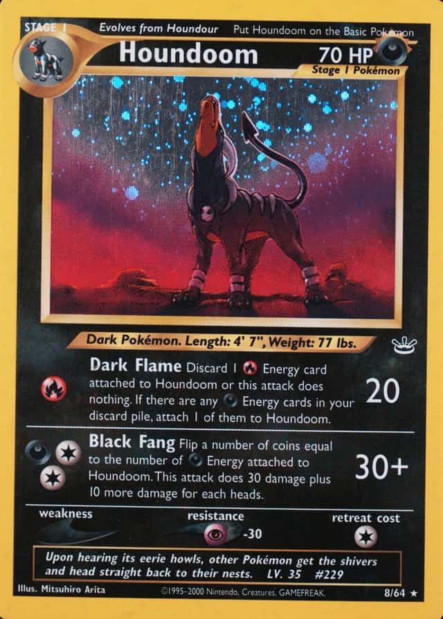 Holo