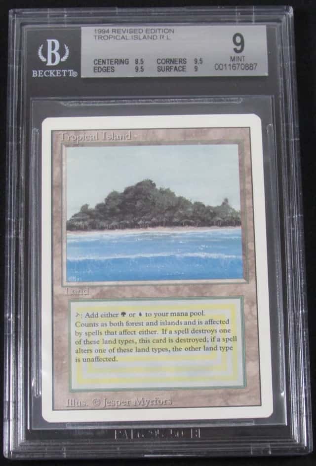 Tropical Island