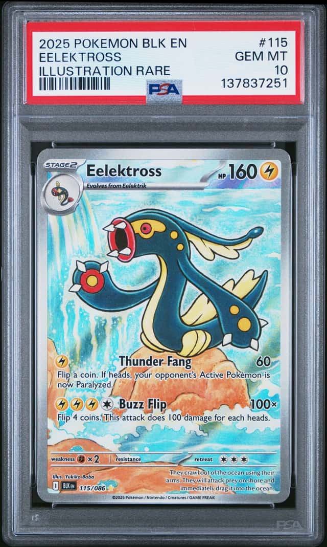 Eelektross