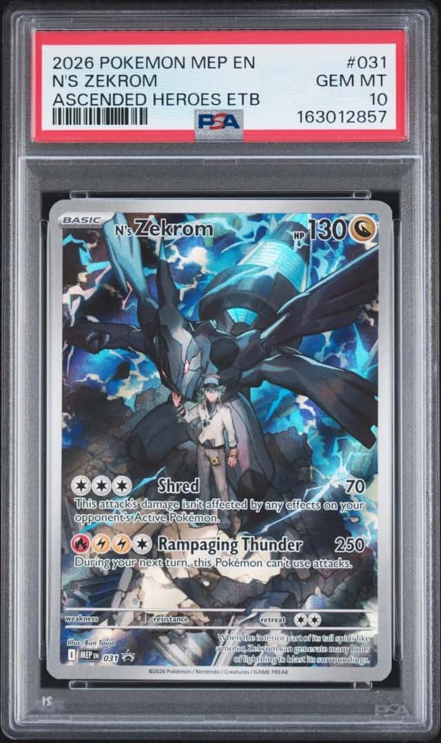 N's Zekrom