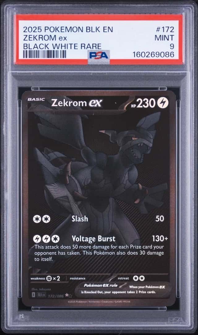 ZEKROM ex