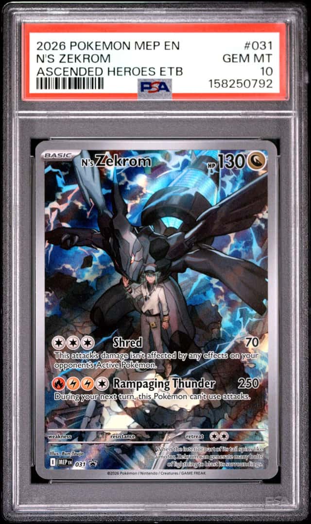 N's Zekrom