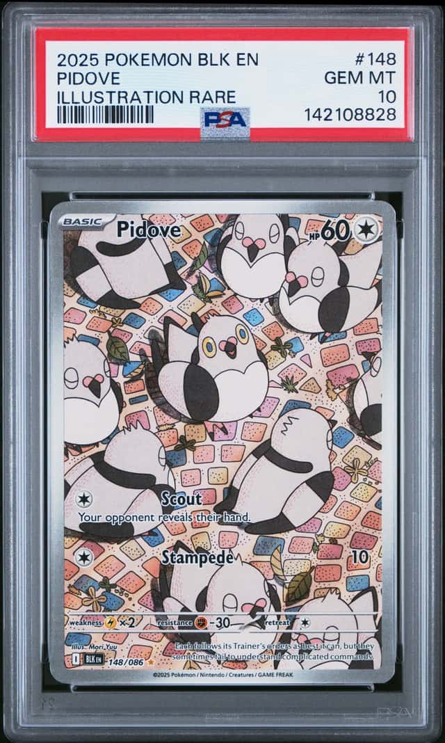 Pidove