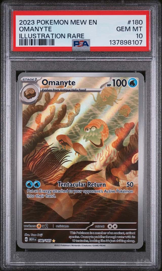 Omanyte