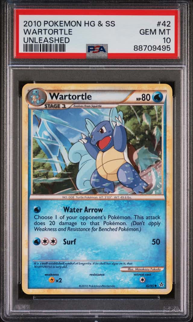 Wartortle