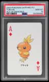 Torchic