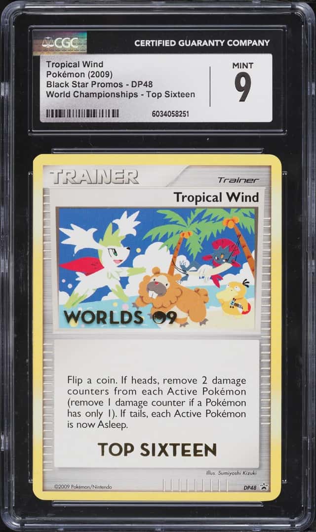 Tropical Wind