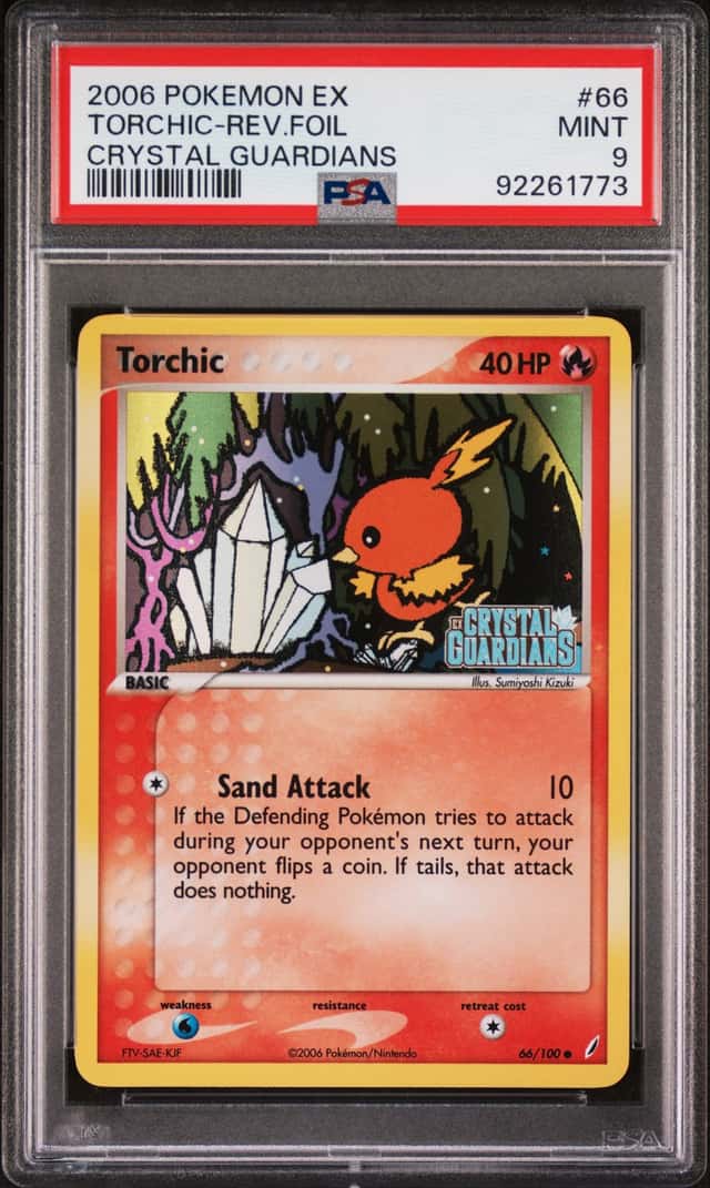 Torchic
