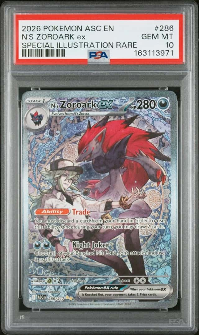 N'S ZOROARK ex