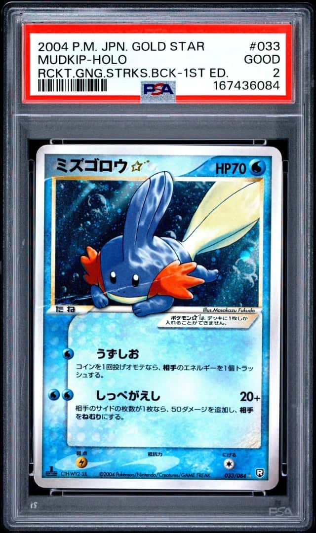Mudkip