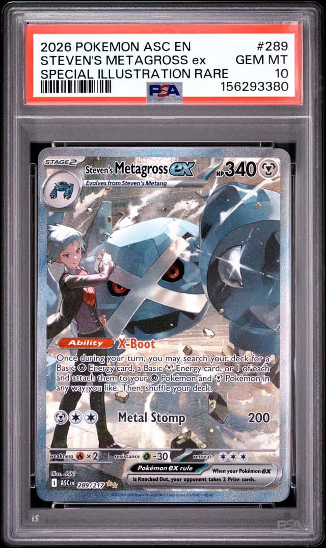 STEVEN'S METAGROSS ex