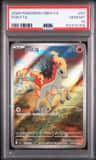 Ponyta