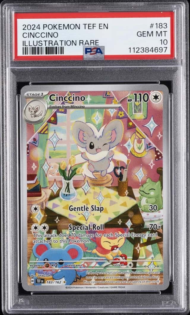 Cinccino