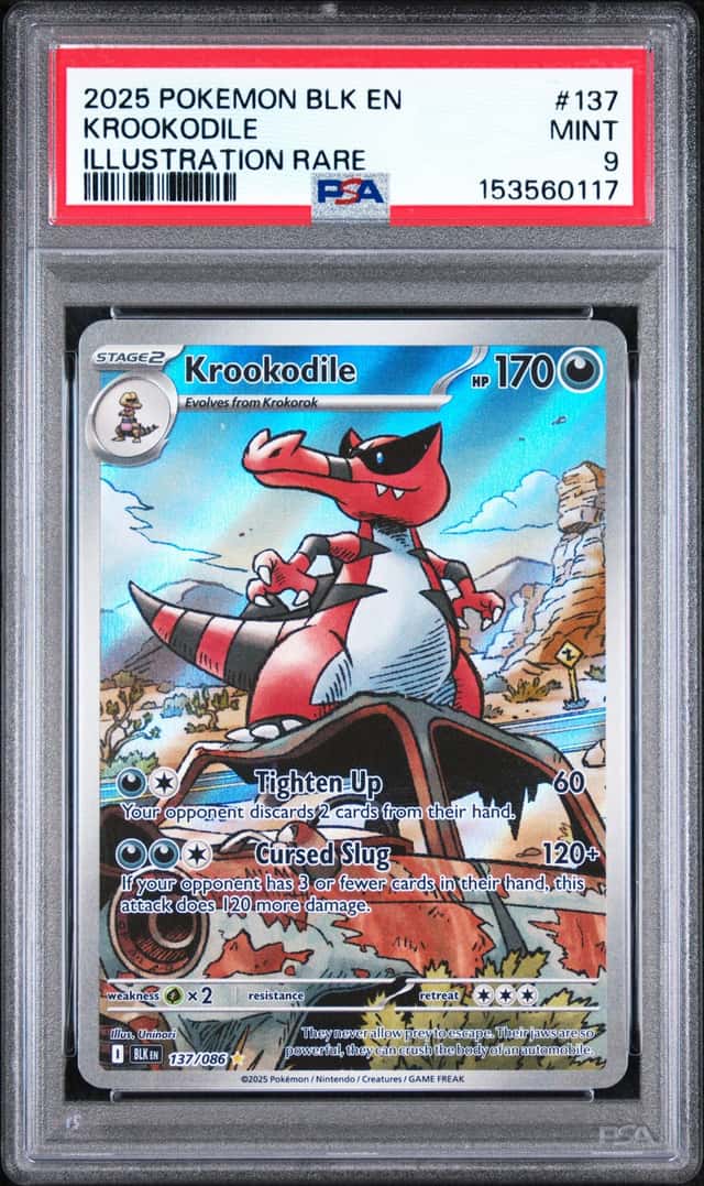 Krookodile