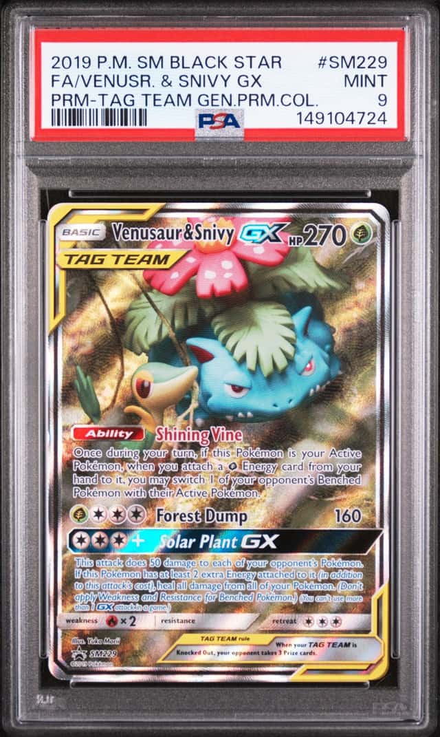 Venusaur & Snivy GX