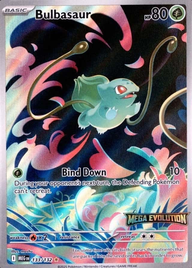 Box Topper