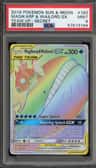 Magikarp & Wailord Gx