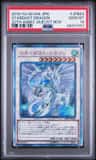 Stardust Dragon