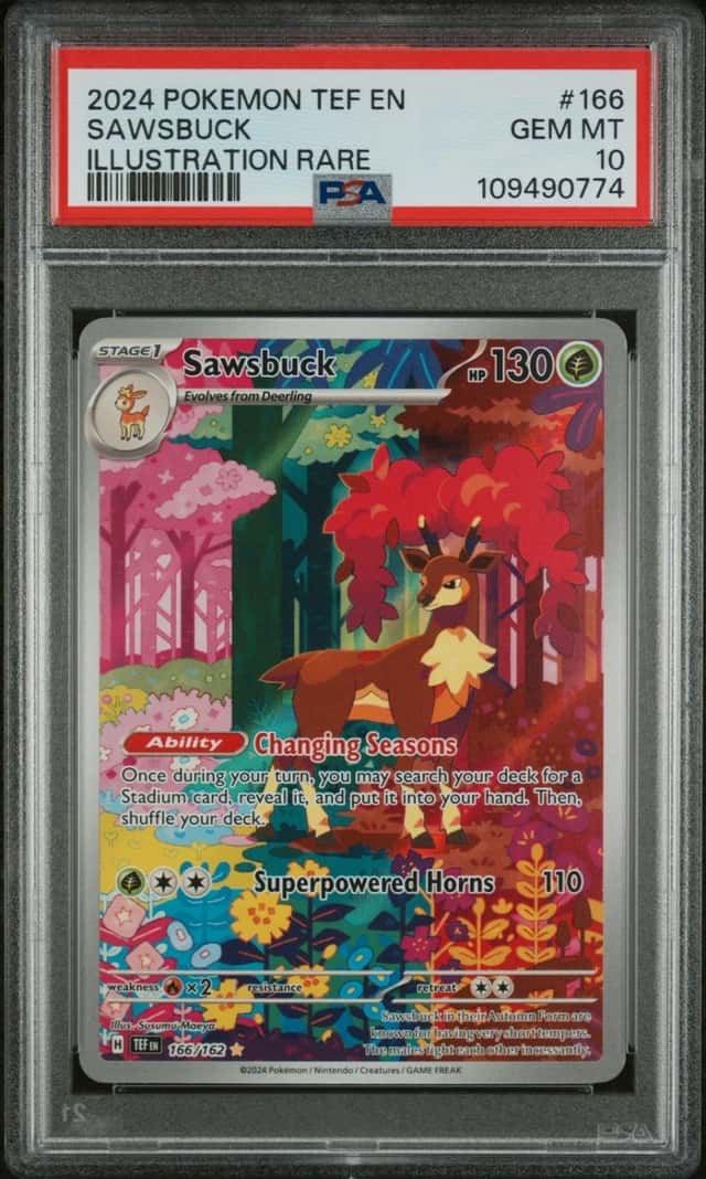 Sawsbuck