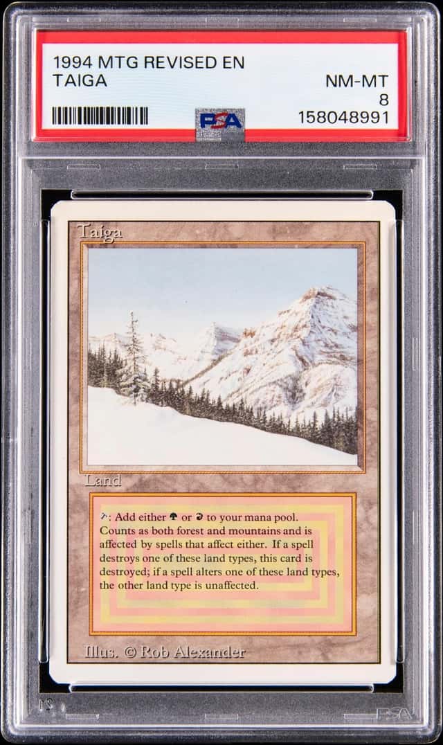 1994 Magic: The Gathering Revised Taiga - PSA NM-MT 8