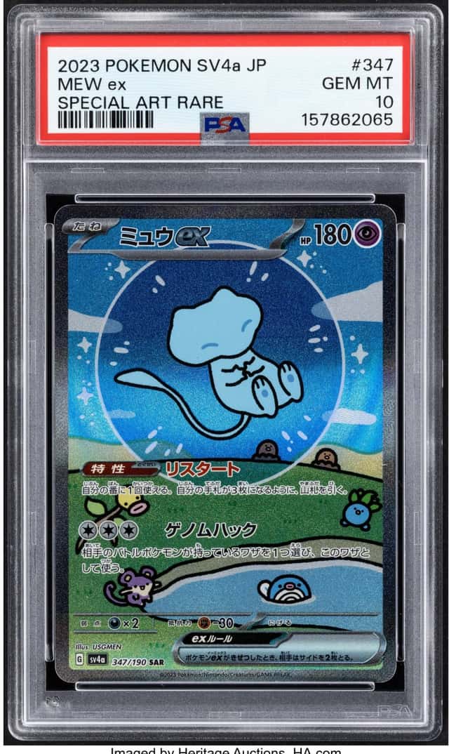 MEW ex