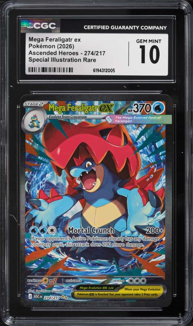 MEGA FERALIGATR ex