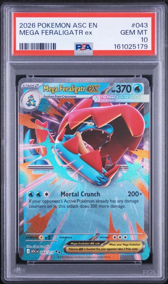 MEGA FERALIGATR ex