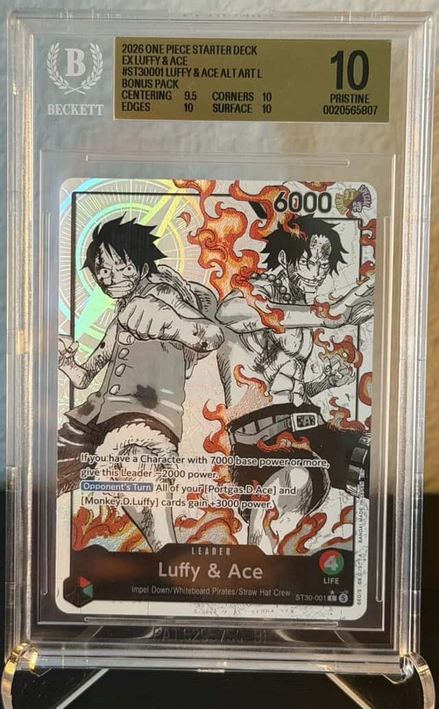 Luffy & Ace