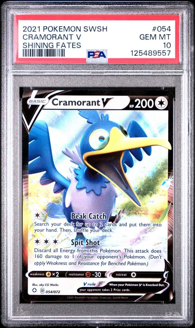 Cramorant V