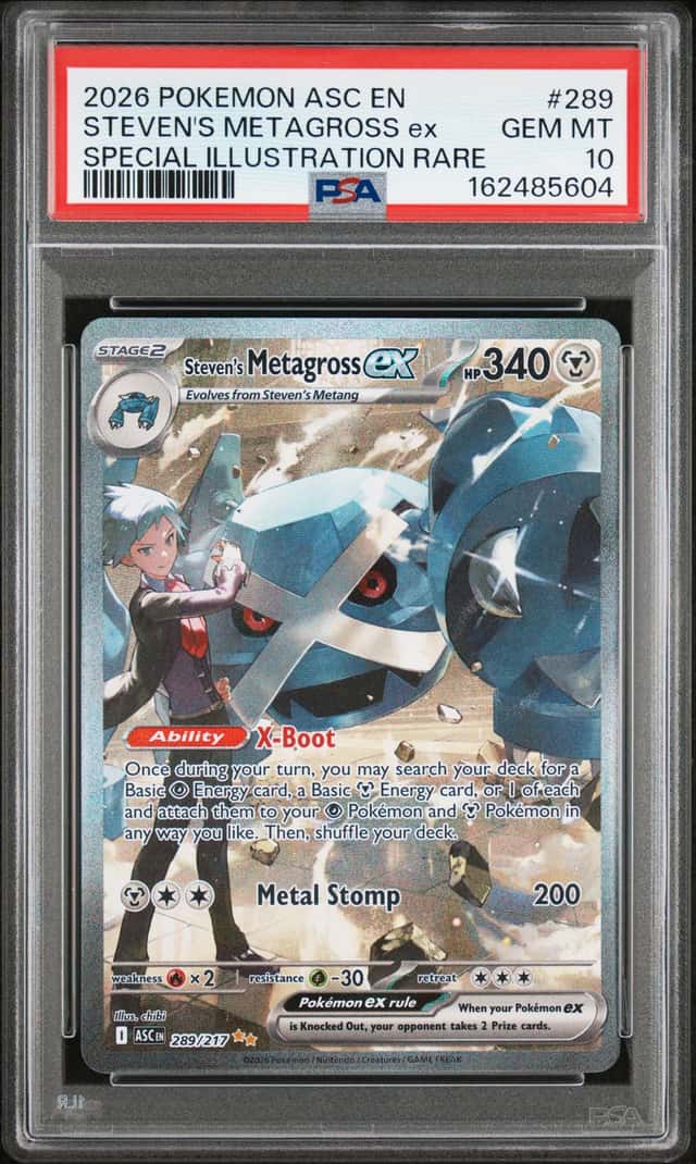 STEVEN'S METAGROSS ex