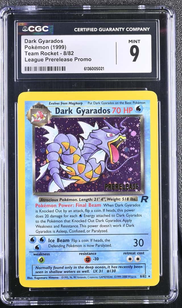 Dark Gyarados