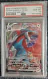 Salamence Vmax