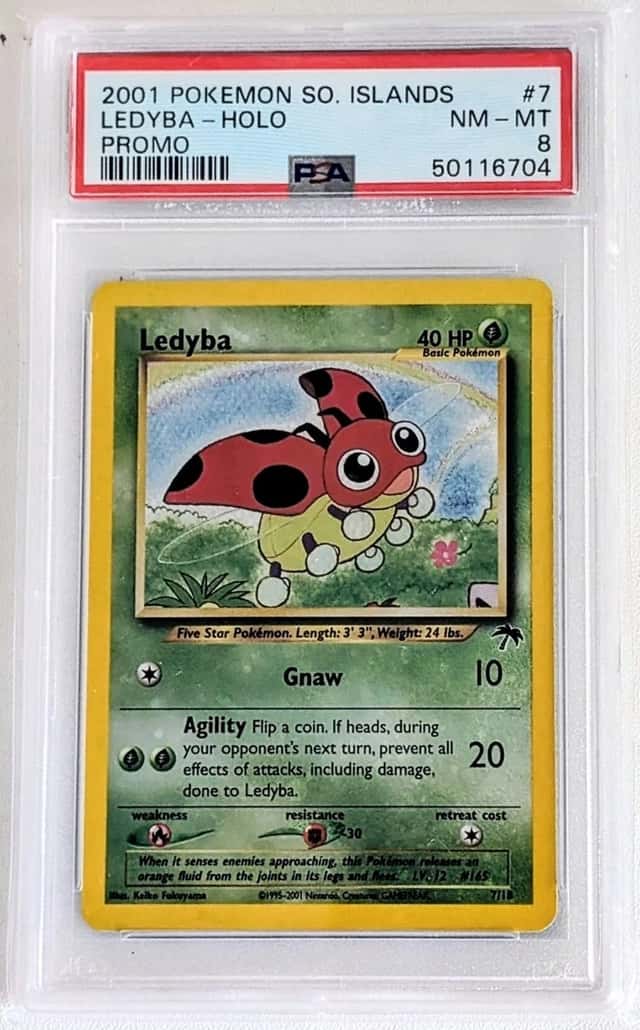 Ledyba
