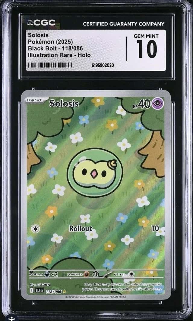 Solosis
