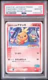 Pokepark'S Torchic
