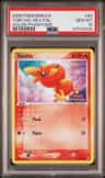 Torchic