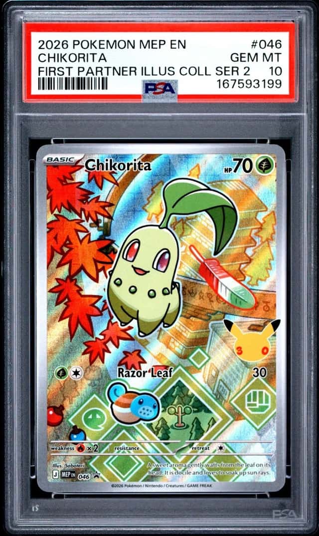 Chikorita