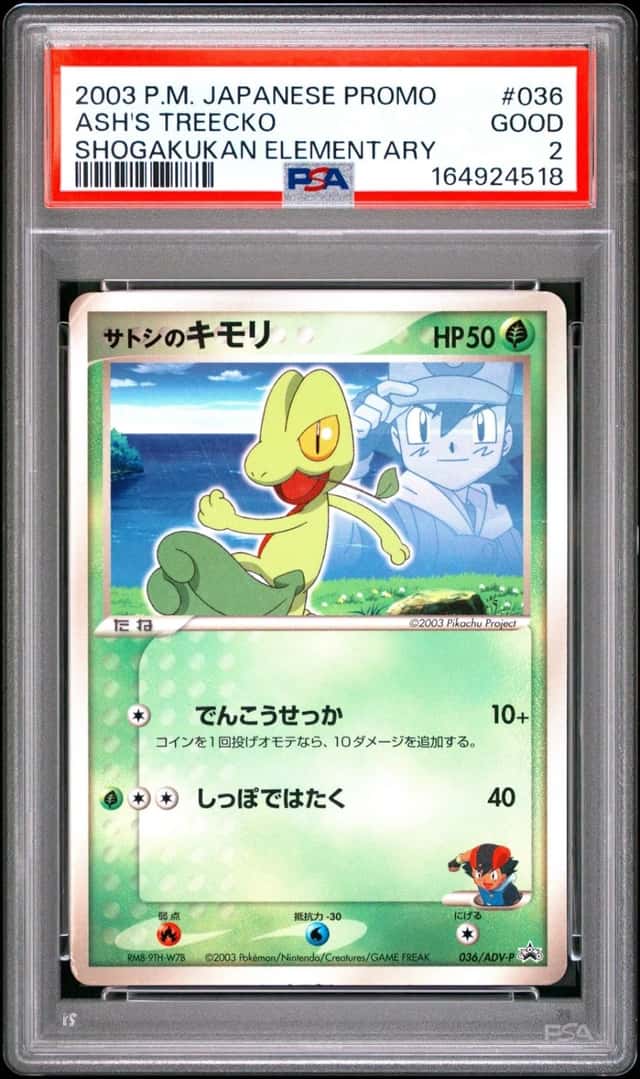 Ash's Treecko