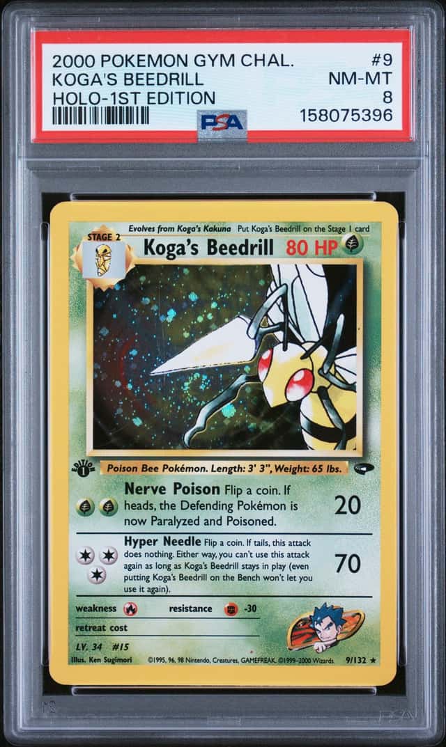 Koga's Beedrill